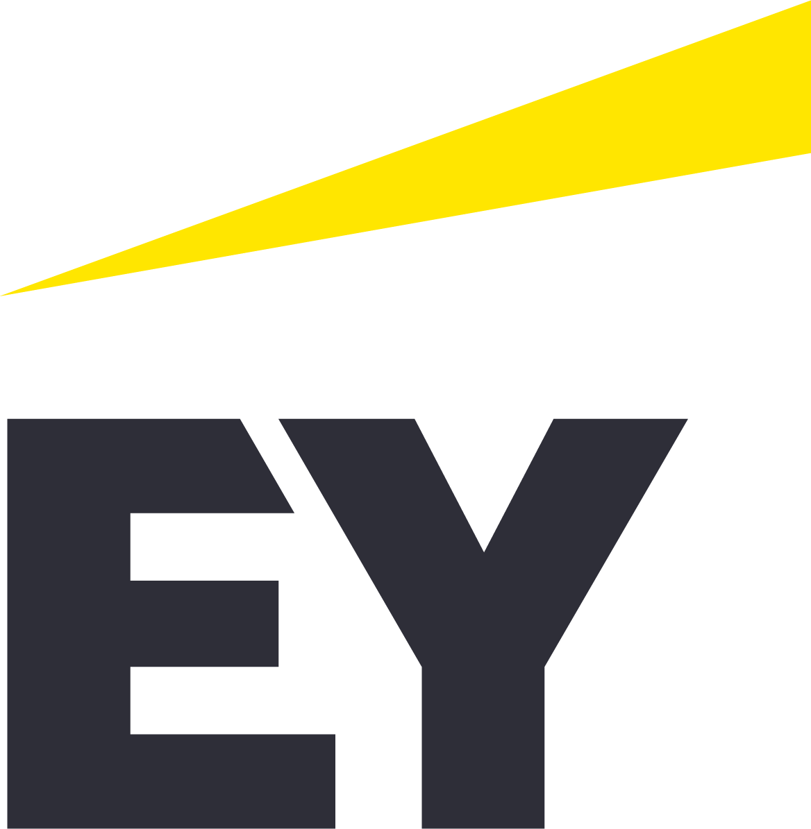 Consultant EY-Parthenon Transactions Corporate Finance (graduate)